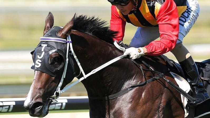 Basara headed to Stakes Class